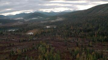 Top view of mountain landscape with forest and lakes in autumn. Clip. Landscape with forest mountains and lakes with river on cloudy autumn day. Cloudy wild landscape of mountain forest and lakes video