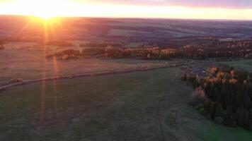 Aerial view of green fields, trees, and sunset sky on the background. Clip. Meadows crossed by long railroad. video