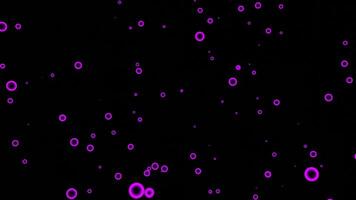 Black background. Design. Purple small and blue circles in the animation quickly rising up in a chaotic manner. video