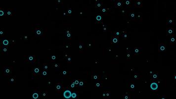 Black background. Design. Purple small and blue circles in the animation quickly rising up in a chaotic manner. video