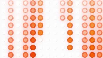White background. Motion.Orange and black circles descend and rise in different directions in abstraction. video