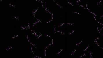 Abstract narrow neon lines moving very fast in a circle isolated on black background. Design. Glowing stripes flying on the same trajectory many times. video