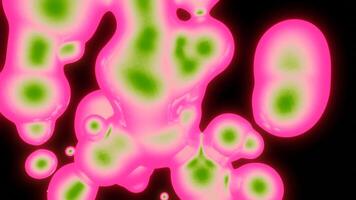 Cell division or cloning cells. Design. Abstract process of cells dividing under the microscope, concept of science and biology. video