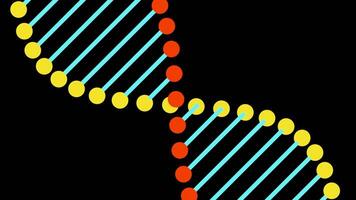 Simple animation of moving dna. Design. Beautiful rotating dna structure of lines and dots. Colorful cartoon dna rotates on black background video