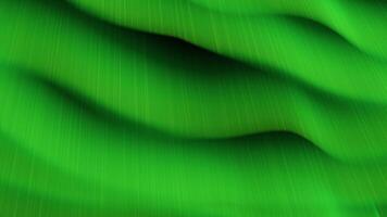 Digital visualization of the northern lights. Design. Abstract night sky with aurora borealis lights. video