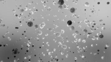 Monochrome particles flying slowly on a grey background. Motion. Small spheres in abstract space. video