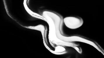 White ghostly streams of lines. Motion. White smoky lines move in curved streams on black background. Curved lines of ghostly energies of souls video