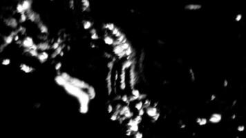 Shimmering white highlights on black background. Motion. White highlights of liquid flicker in dark. Simple background with shimmering water highlights on black background video