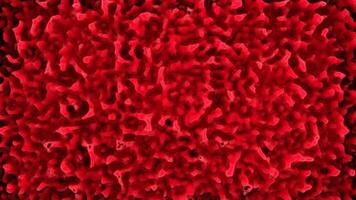 Antibiotic resistant bacteria illness infection and inflammation. Design. Colorful movement of tiny particles. video