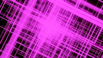 Light pink mesh. Design.A bright web on a black background in animation diverging in different directions. video