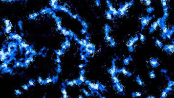 Microbes and worms background, biological abstract pattern. Design. Abstract moving worms under microscope. video