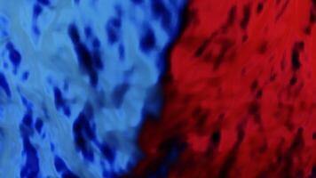 Red and blue flowing paint. Design. Animation on which waves pour thick dyes at high speed. video