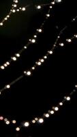 Spider web in macro photography. Creative. A thin spider web with dew droplets that stretches and shakes video