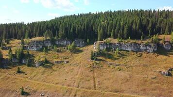 Top view of rocky slope and green coniferous forest. Clip. Slope of hill with edge and rocks on background of green dense forest. Rocky slope with cliff and green coniferous forest on sunny day video