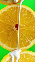 Melted vanilla icecream flowing down and covering halves of fresh cut oranges. Stock clip. Fruits isolated on a green chroma key background. video