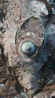 Top view of beautiful rocky cape with lighthouse. Clip. Cinematic landscape with blue waves and lighthouse on rock. Rocky cape with lighthouse in sea with waves on sunny day video