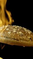 An appetizing burger bun with sesame seeds isolated on black background with red flame. Stock footage. Food and cooking concepr, rotating baked bun in flame. video