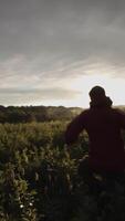 traseiro Visão do uma homem corrida através selvagem verde campo com grandes grama. estoque imagens de vídeo. Câmera segue corredor dentro lindo quieto cair, pôr do sol Prado fundo. video