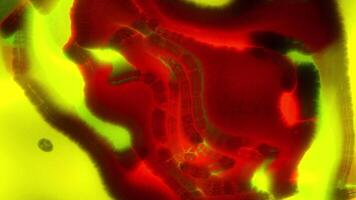 Abstract animation of moving warm energy plasmas. Motion. Curved flows of thermal plasmas. Thermal animation bends of energy video