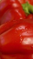 Close-up of two red ripe sweet peppers. Stock footage. Beautiful juicy sweet peppers lie before slicing on wooden background. Juicy ripe vegetables video