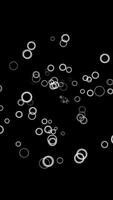 Abstract white rings getting closer to the camera on black background. Animation. Many moving small circle frames, monochrome. video