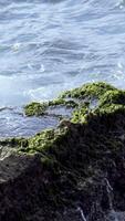 Small waves hitting and splashes against the sea shore. Action. Waves hitting rock. Splashes of sea waves on small rocks video