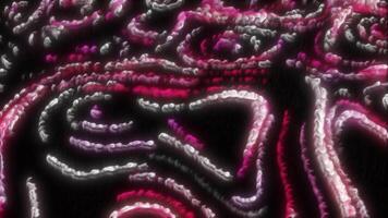 Black background with bright pink and white glitter. Motion. Lines of brilliance in animation that shine in 3d abstraction. video