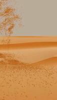 Ghost of Desert. Design. Silhouette of walking man from sand in sandy desert. 3D ghost of sand walking in desert video