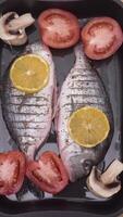 Pocess of cooking fish and serving it. Action. Process of cooking fish in oven from its cleaning and stuffing to serving. Cooking delicious fish in oven and serving it in restaurant video