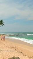 Beautiful beach with vacationing people in south. Action. Tourists relax on beach with palm trees and boats. Beautiful tourist beach on south island with palm trees on sunny day video