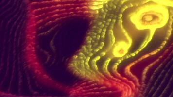 Futuristic plasma waves with bends. Motion. Colorful glowing lines move in electromagnetic field with bends. Wave curves in flows of electro plasma spectrum video