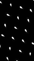 Abstract white flower leaves flowing isolated on black background, seamless loop. Animation. Rows of small petals moving and rotating, monochrome. video