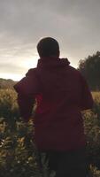 View from the back of man in red jacket and jeans running on the green field near the coniferous forest against blue cloudy sky at the sunset. Stock footage. Relax outdoors video