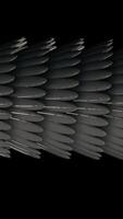 Horisonatal 3D tube formed by silver feathers glowing and flowing on black background, seamless loop. Animation. Abstract long figure with oval shaped feathers. video