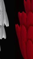 Abstract white and red wide tubes covered by shining bird feathers, seamless loop. Animation. Glowing oval shaped feathers covering bending contrast tubes. video