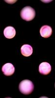 Abstract background of glittering beads on black background. Animation. Abstract textured beads made of translucent colored material glistening on black background video