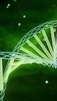 Glowing dna spiral in rotation. Design. Rotating spiral with colored glow. Beautiful animation of glowing dna spirals with super genes video