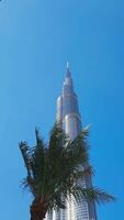 Burj Khalifa at Dubai Mall in UAE, famous landmark. Action. Low angle view of a skyscraper and palm trees. video