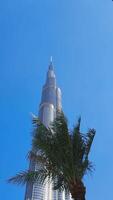 Burj Khalifa at Dubai Mall in UAE, famous landmark. Action. Low angle view of a skyscraper and palm trees. video