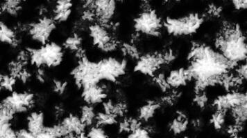 Fantastic patterns of colors and paints. Motion. Spinning abstract curlicues on a dark background. video