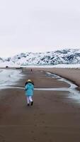 Breathtaking landscape with winter sea coast surrounded by snowy hills on bright sky background. Footage. Rear view of a girl running along the cold sea coast and jumping over the stream. video