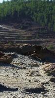 Gravel quarry with forest on the background. Stock footage. Old tree trunk and stones at the quarry on a summer sunny day. video