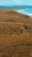 Aerial of autumn yellow grass and the blue sea coast. Clip. Withered field, cloudy sky above and wavy shore. video