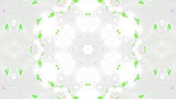 Colorful animation with floral kaleidoscopic pattern. Motion. Colorful floral patterns in psychedelic pattern on white background. Kaleidoscope with colorful patterns and white background video