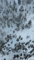 Aerial view of high stone formations in winter forest. Clip. Exploring frozen winter nature, concept of adventure. video