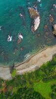 Top view of coast with rocks in water and forest. Clip. Amazing nature of coast with beautiful rocks and clear water. Wild coast with rocks in turquoise water and green forest on sunny day video