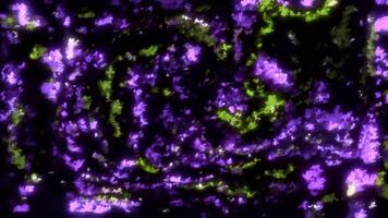 Bright shimmering particles in liquid stream. Motion. Abstract liquid ripples with fluorescent flashing particles. Colorful glowing particles in stream on black background video