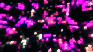 Abstract isolated blurred festive lights with bokeh effect. Motion. Sparkling stars motion background. video