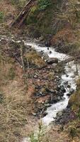 View of the mountain slope covered by withered grass and flowers. Stock footage. Stream flowing on the slope of the mountain, landscape in autumn colors. video