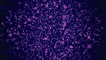Purple background. Motion. Bright flying glittering confetti in animation. video